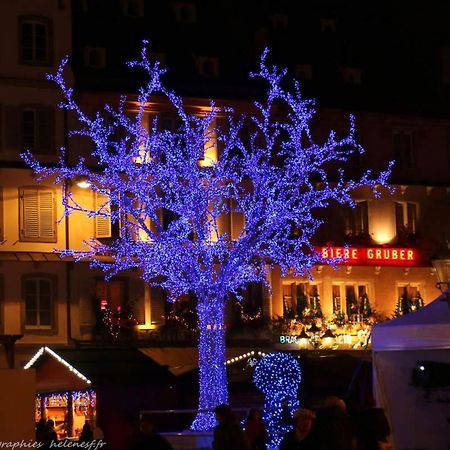 Studio Belle Vue Strasbourg Ngoại thất bức ảnh